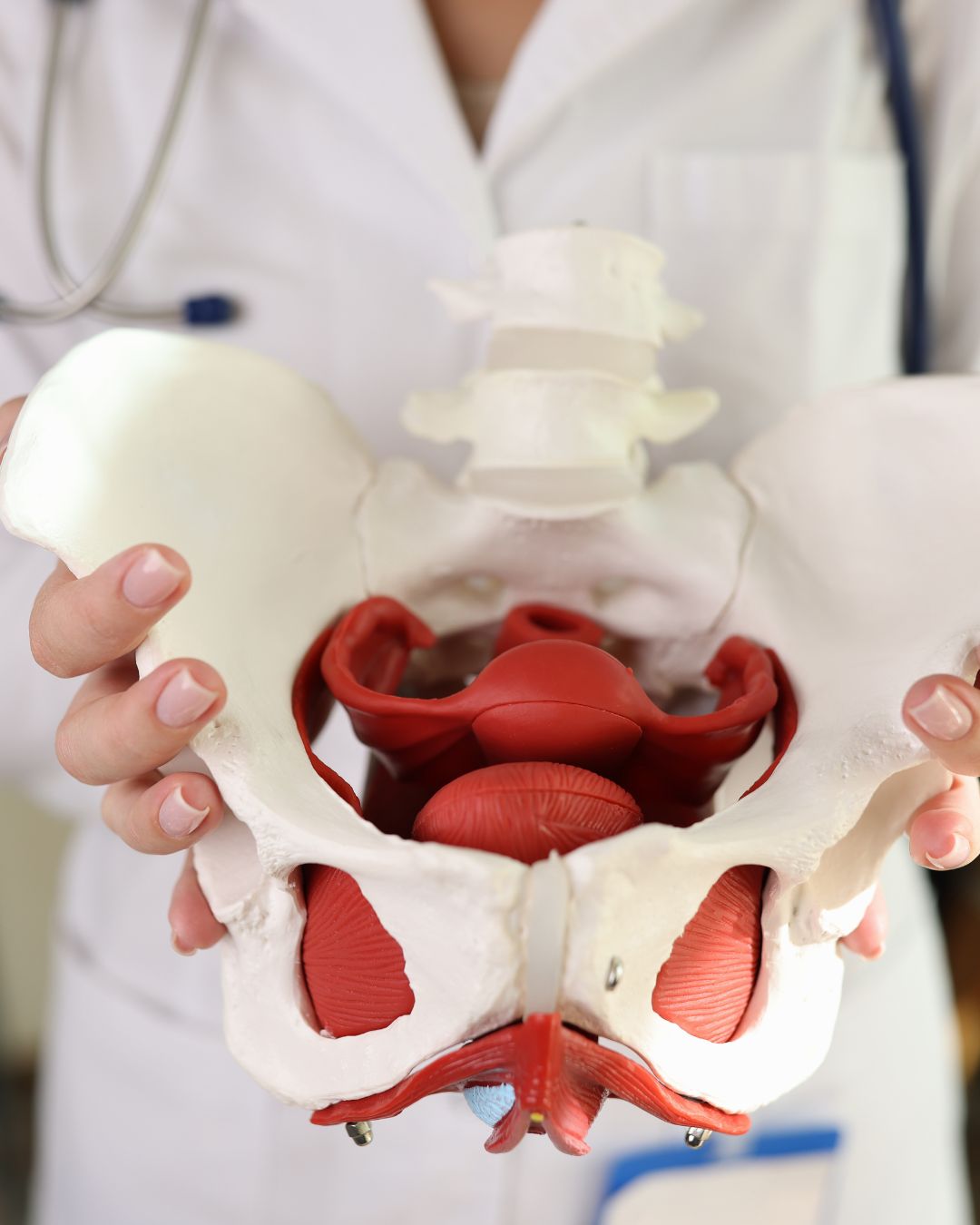 Pelvic Floor PT OSR Physical Therapy